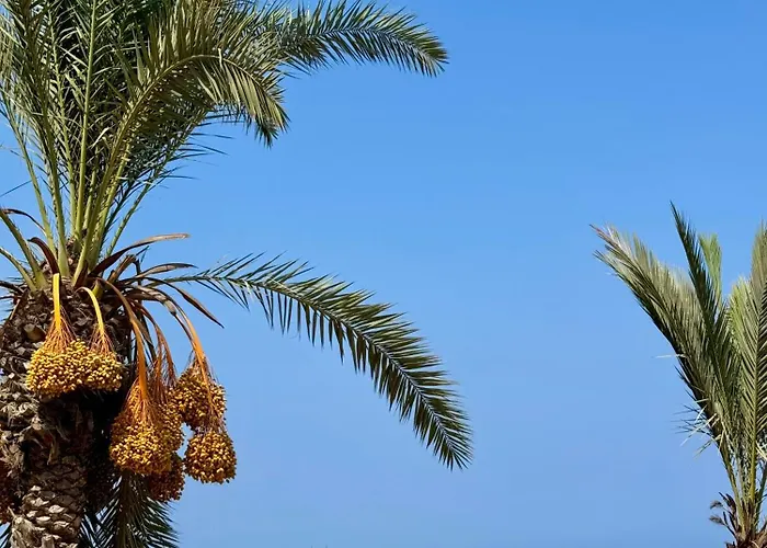 Nissi Si Lux Boho On Nissi *